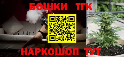 индика Балахна