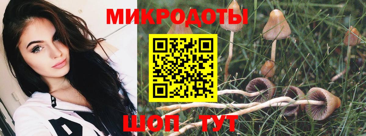 Галлюциногенные грибы мухоморы  Вход с VPN  Димитровград 
