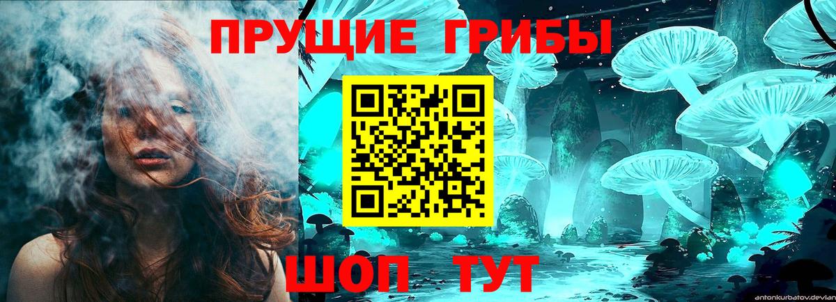 Галлюциногенные грибы ЛСД Димитровград